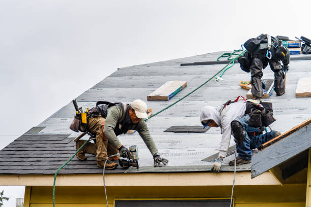 Professional Storm Damage Roof Repair technician working in Weston, ID